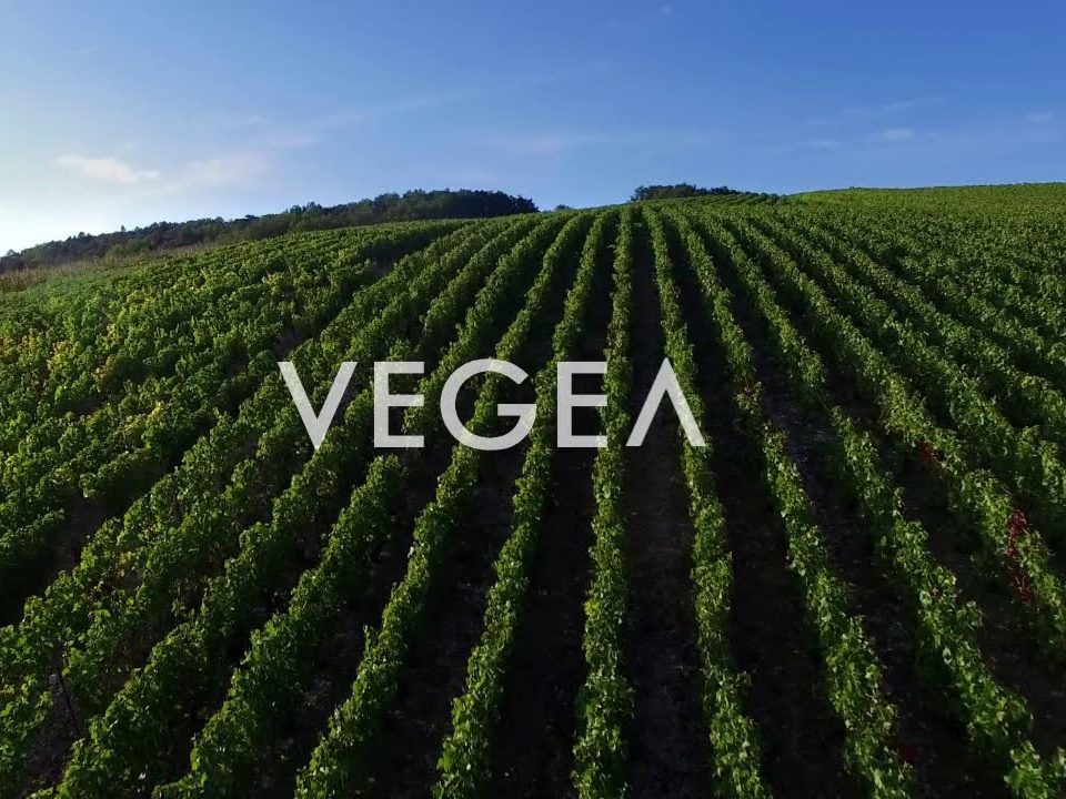 VEGEA - Made in Italy