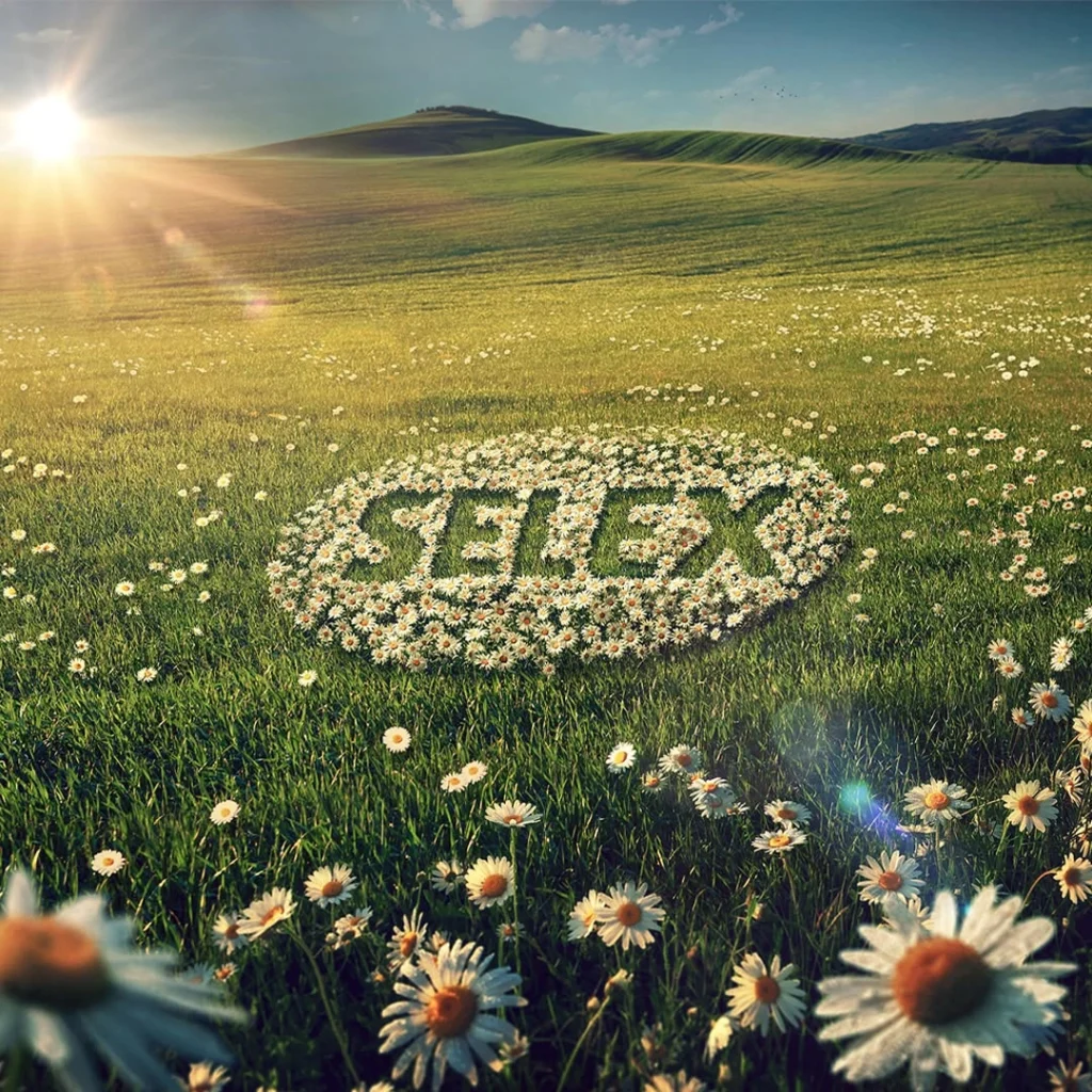 Selex – Made in Italy