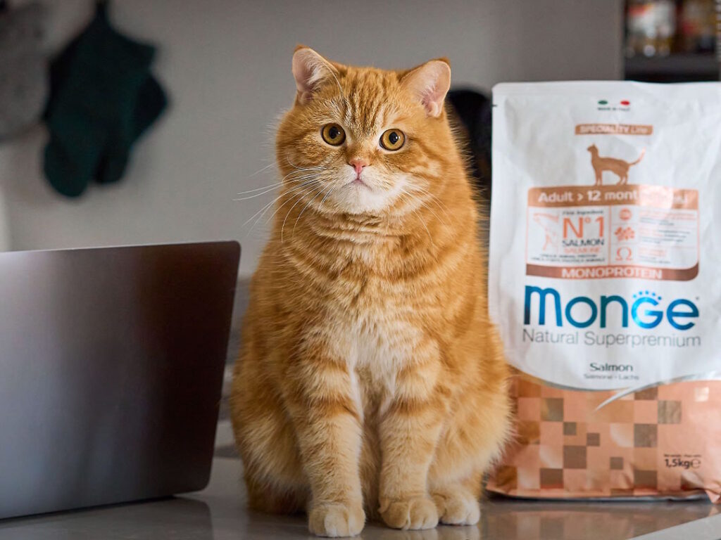 Monge – Made in Italy